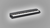 noleggio Yamaha P255